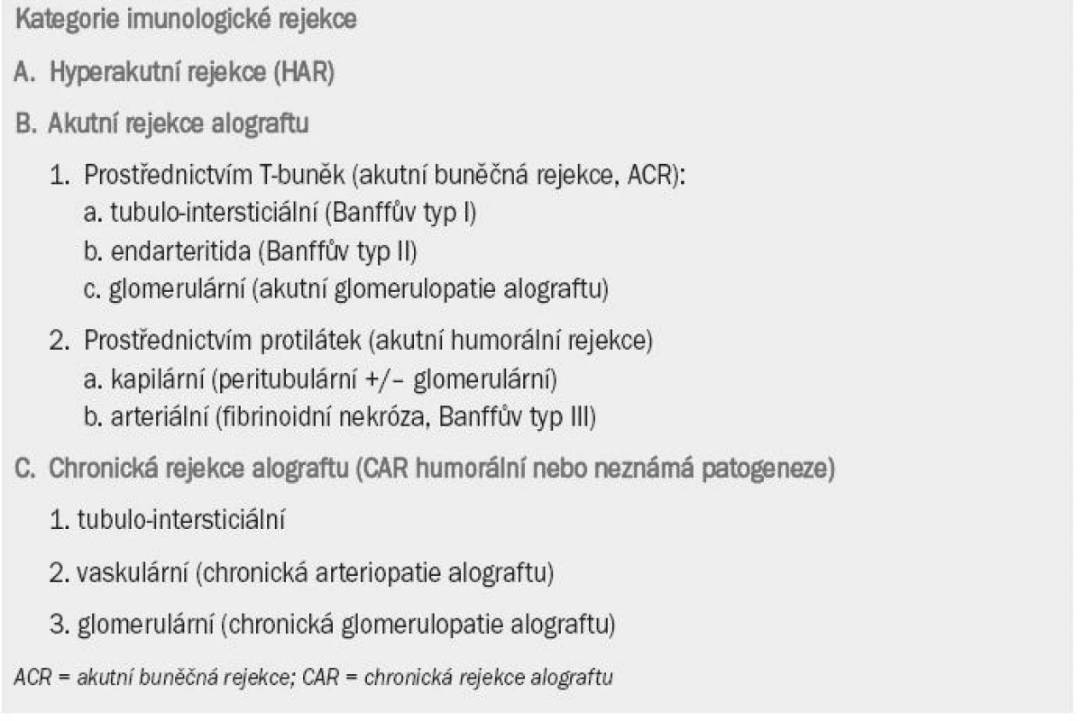 Patologická klasifikace lézí vznikajících v alogenním transplantátu ledviny [3].