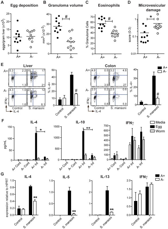 Vitamin A deficiency impairs <i>S. mansoni</i>-elicited Th2 responses.