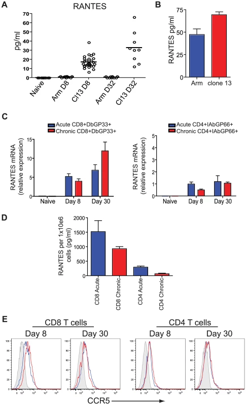 Higher concentrations of RANTES protein are present in the serum of mice infected with LCMV clone 13 compared to LCMV Armstrong and naïve mice.