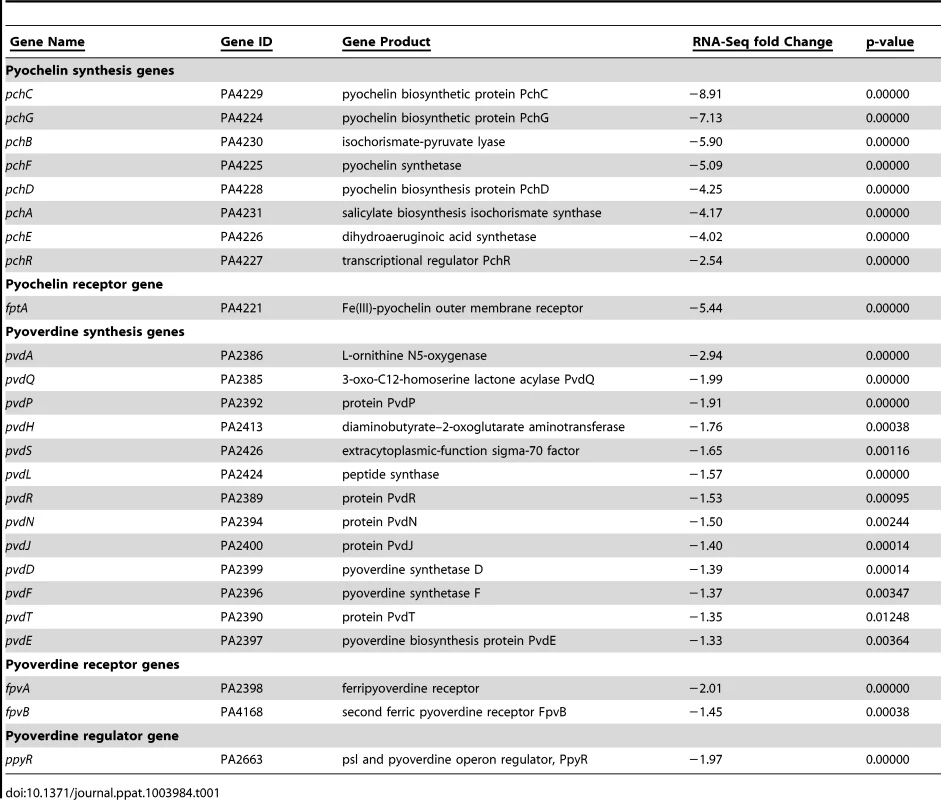 RNA-Seq indicates AmrZ represses pyochelin and pyoverdine siderophore systems.