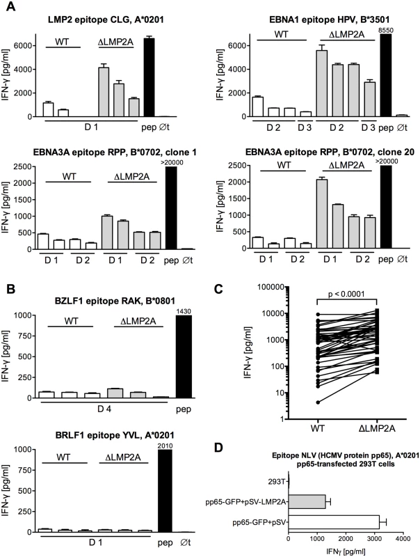 Modulation of CD8+ T cell recognition by LMP2A.