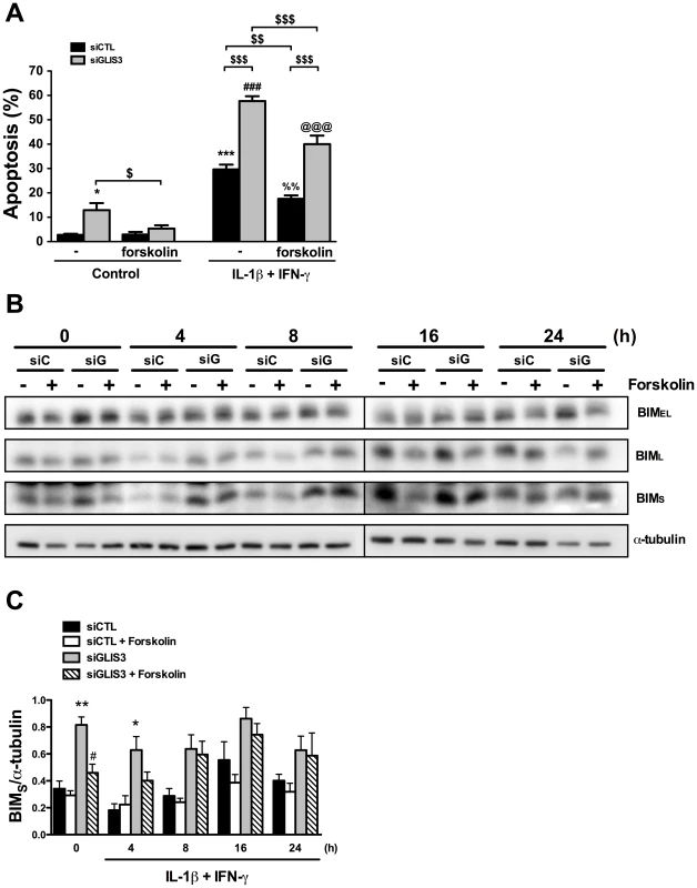 Forskolin partially prevents apoptosis following <i>GLIS3</i> KD.