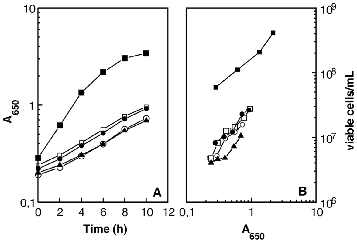 <i>D. radiodurans</i> cells devoid of <i>recA</i>, <i>recF</i>, <i>recO</i>, or <i>recR</i> genes show reduced plating efficiency.