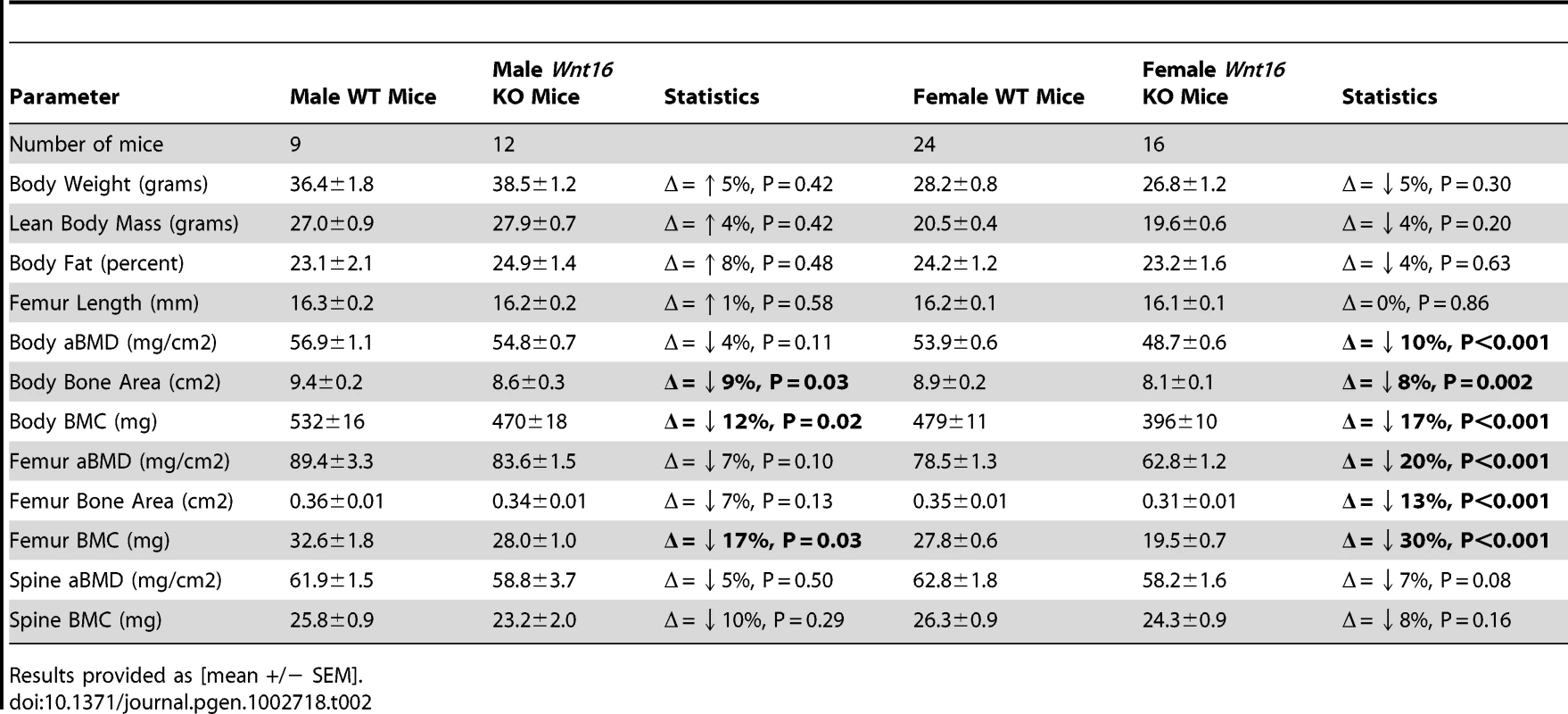 Summary statistics for densitometric properties of control (+/+) and <i>Wnt16</i> deficient (−/−) mice.