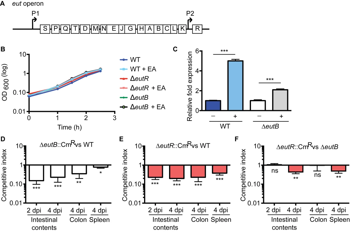 EutR in pathogen-microbiota-host interactions.