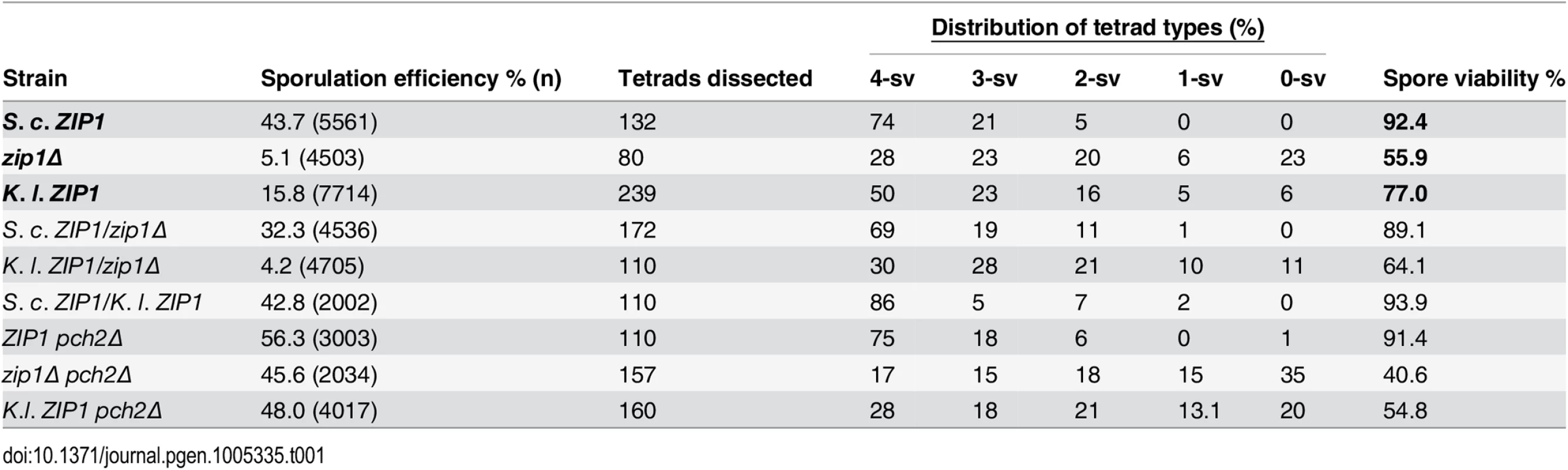 Sporulation efficiency and spore viability in <i>S</i>. <i>cerevisiae</i> cells expressing <i>S</i>. <i>c</i>. or <i>K. l. ZIP1</i>.