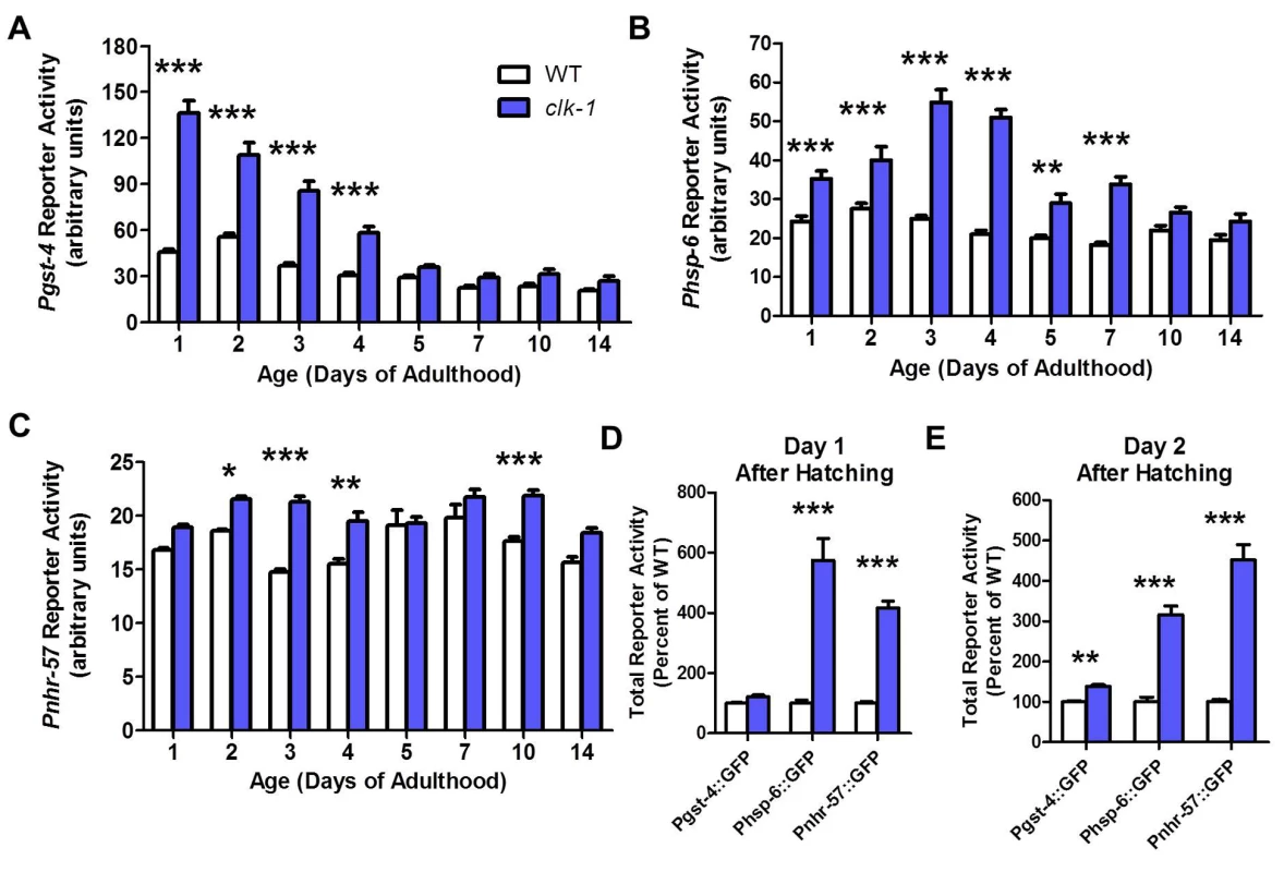 Stress responsive pathways in <i>clk-1</i> worms are upregulated during larval development and decline with age.