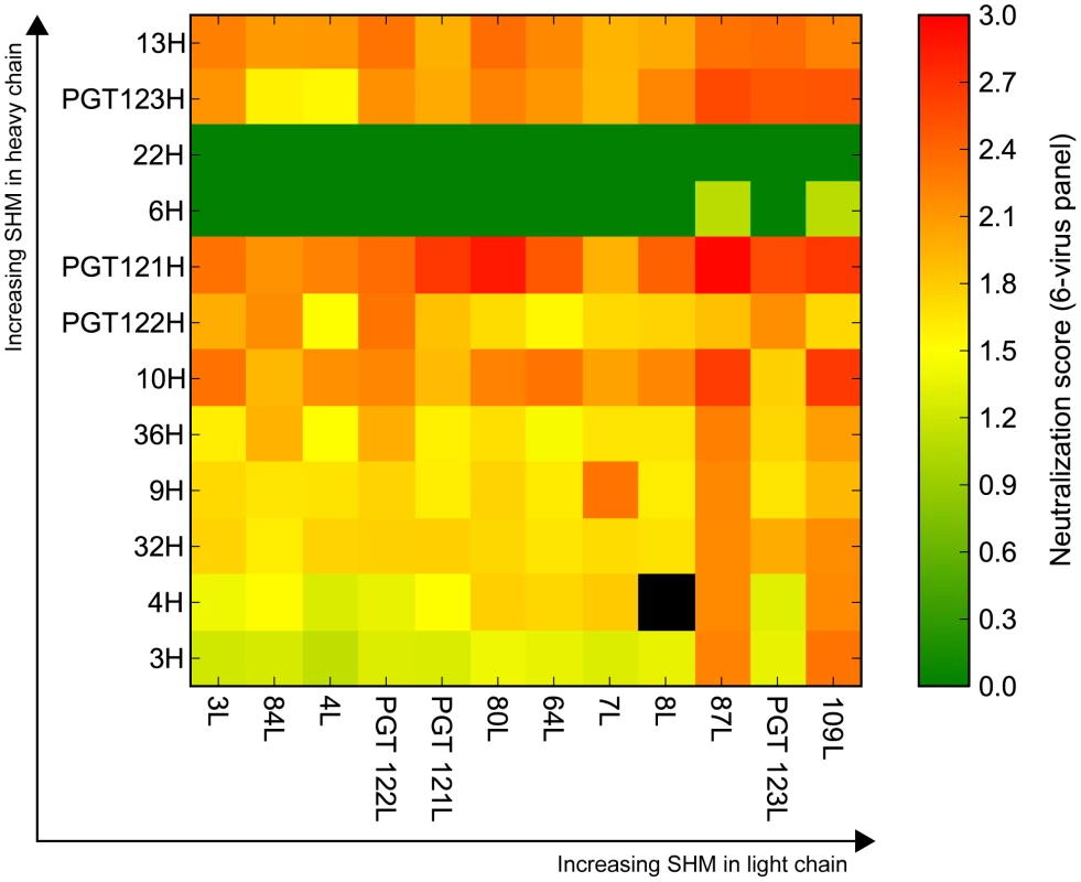Selected heavy and light chain clones were paired and tested for neutralization breadth and potency on a cross-clade 6-virus panel.