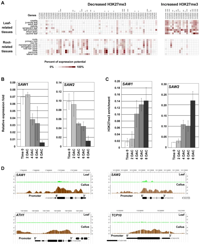 H3K27me3 reprogramming affects cell fate transition in the post-2 DAC stage.