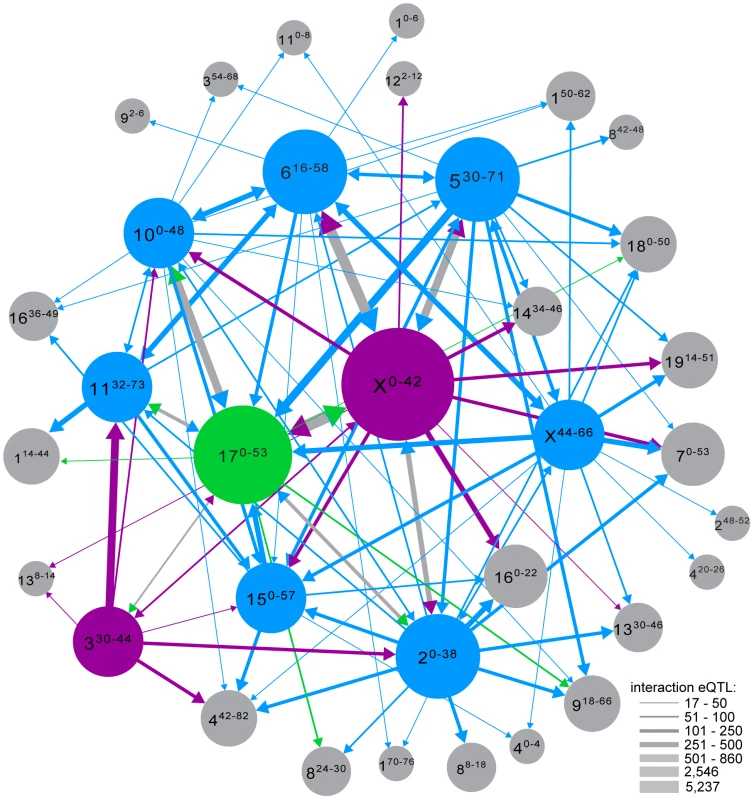 Interaction network. Interaction eQTL hotspots identified with different genotype covariates are shown as single nodes if the distance between regions was <12.8 Mb (average distance between genotyping markers).