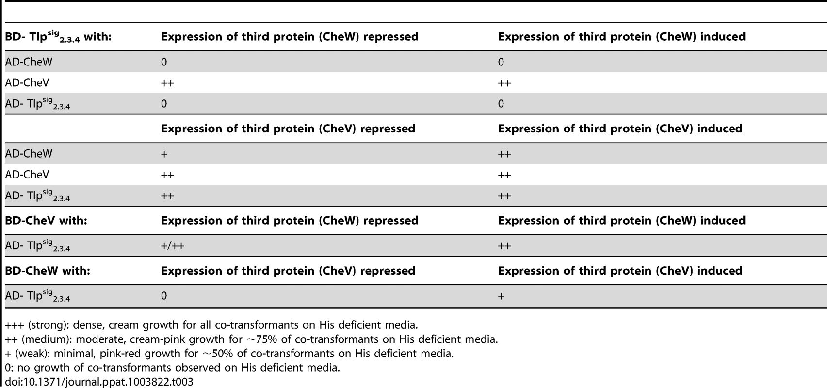 Analysis of protein interactions with Tlp<sup>sig</sup><sub>2.3.4</sub> using the yeast three-hybrid system.