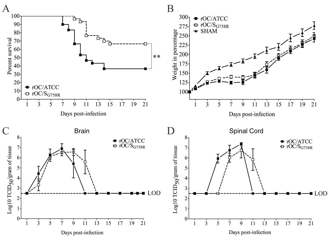 Both variants rOC/ATCC and rOC/S<sub>G758R</sub> are neuroinvasive and neurovirulent in 10 day-old BALB/c mice infected by the intranasal route.