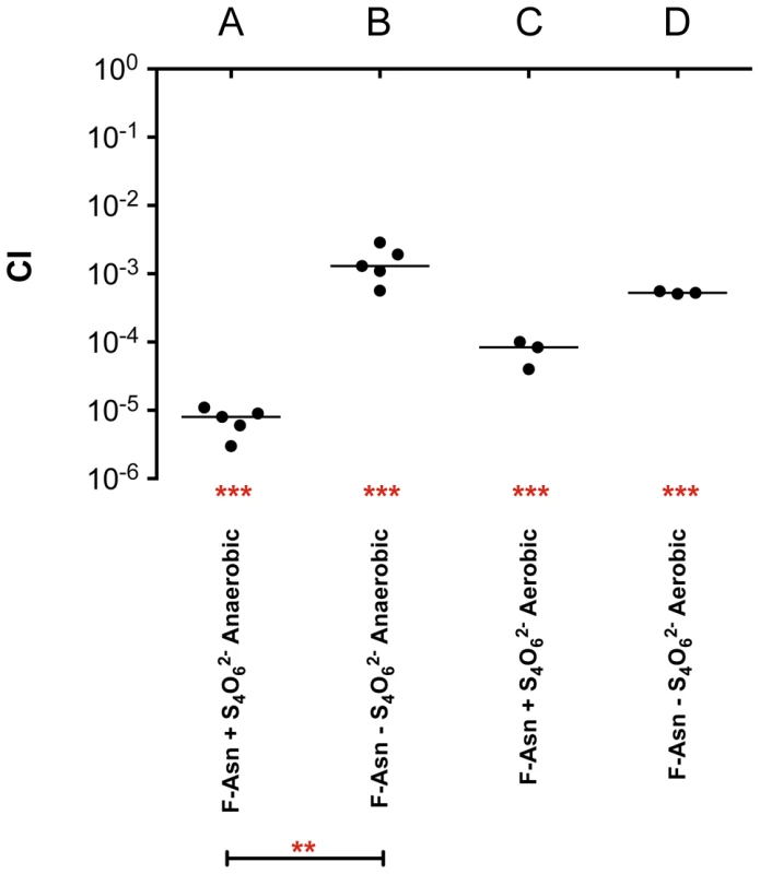 Competitive index measurements of a <i>fraB1</i>::kan mutant during <i>in vitro</i> growth.
