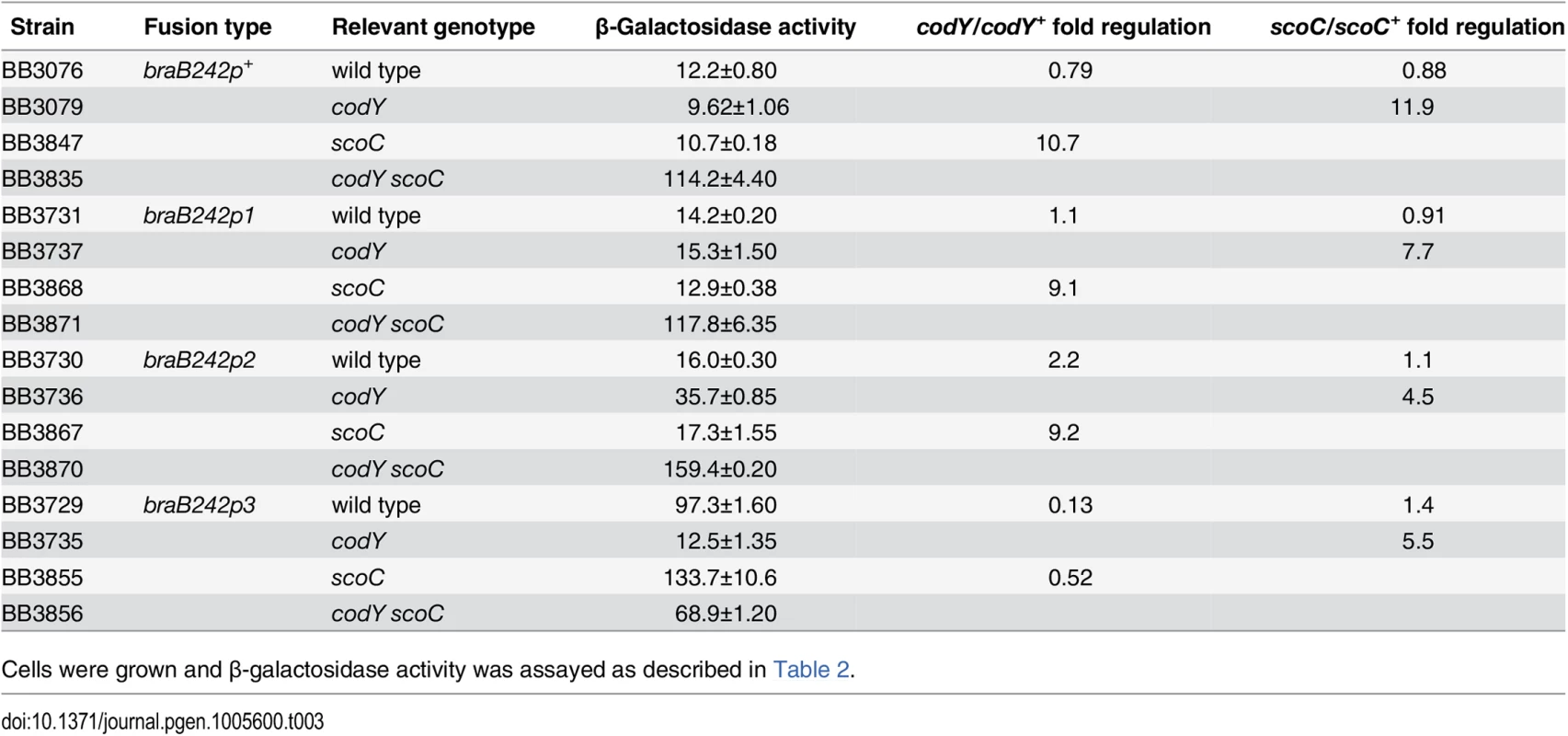 Effect of mutations in the CodY-binding sites on <i>braB</i> expression.