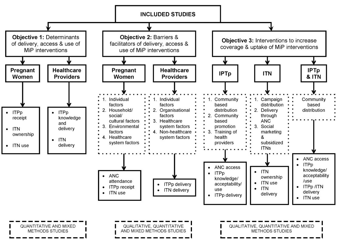 Analysis strategy.
