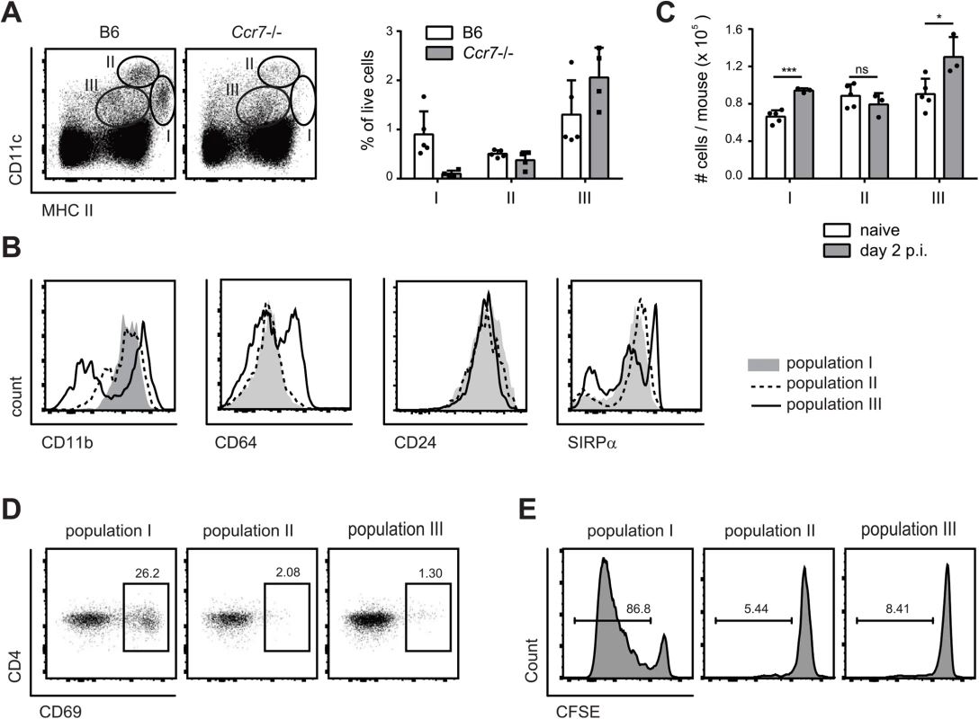 MHC II<sup>hi</sup> CD11c<sup>+</sup> migratory DCs present <i>C</i>. <i>albicans</i>-derived antigen in the cervical lymph nodes.