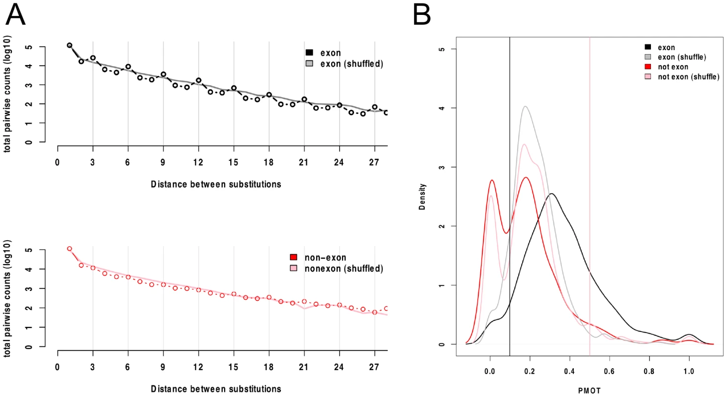 Protein-coding potential in Constrained Elements.