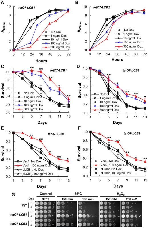 Down-regulating sphingolipid synthesis increases CLS.