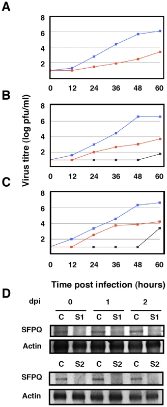 Kinetics of influenza virus multiplication in SFPQ/PSF-silenced cells.