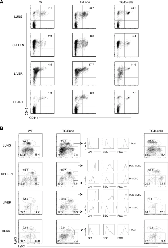 Expansion of myeloid cells with PMN-MDSC immunophenotype.