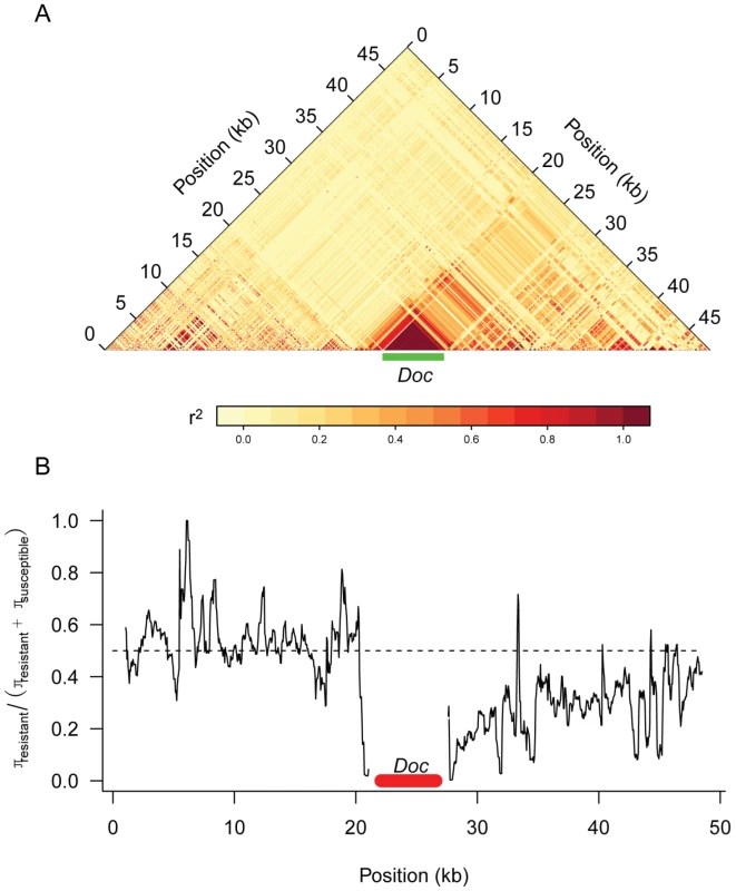 Genetic variation around the <i>CHKov</i> genes.