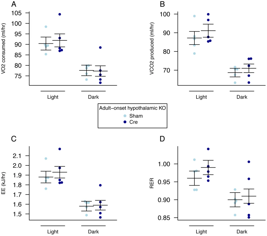 Energy expenditure and metabolism in female adult hypothalamic KO mice.