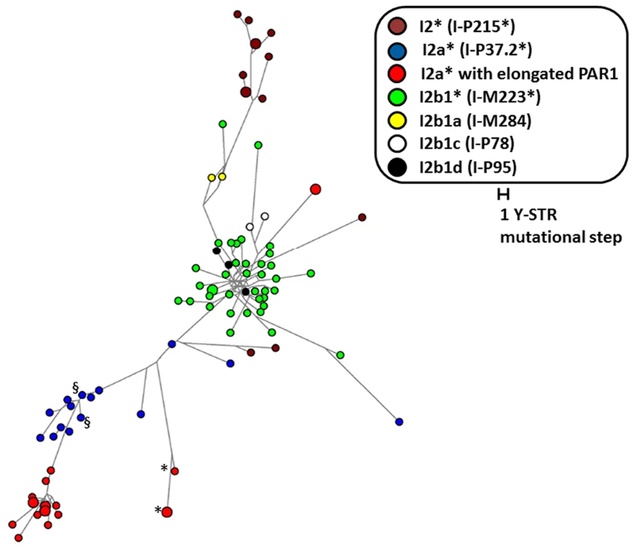 Y Chromosome relatedness of all I2 Y chromosomes.