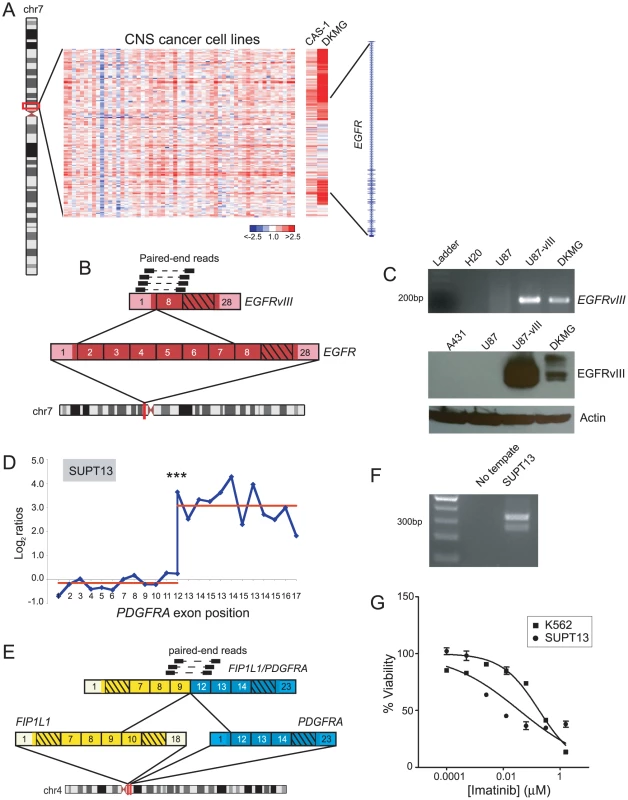 Discovery of new cell line models for the known rearrangements, <i>EGFRvIII</i> and <i>FIP1L1/PDGFRA</i>.