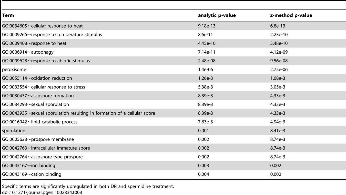 Terms associated with DR and spermidine upregulated genes.