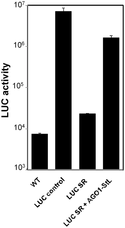 RNAi of <i>AGO1</i>.