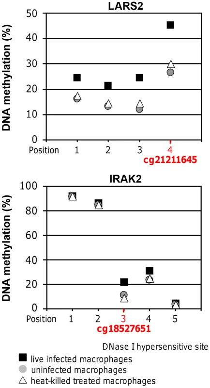 Pyrosequencing confirmed DNA methylation changes of selected high confidence CpG loci.