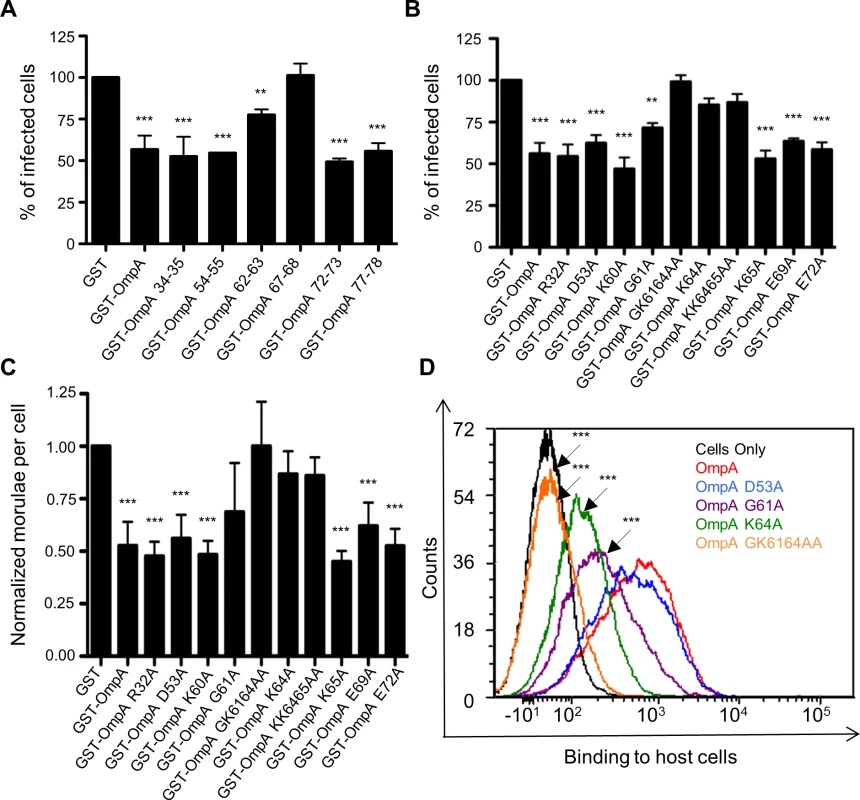 G61 and K64 are essential for recombinant OmpA to optimally bind to mammalian host cells and competitively inhibit <i>A</i>. <i>phagocytophilum</i> infection.