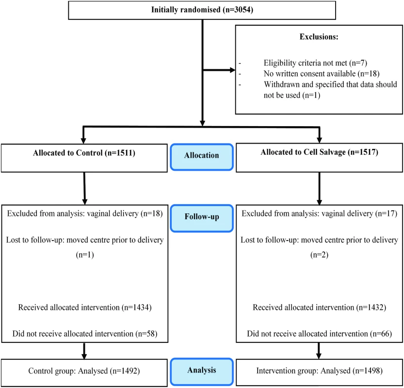 Participant enrolment and follow-up (CONSORT flow diagram).