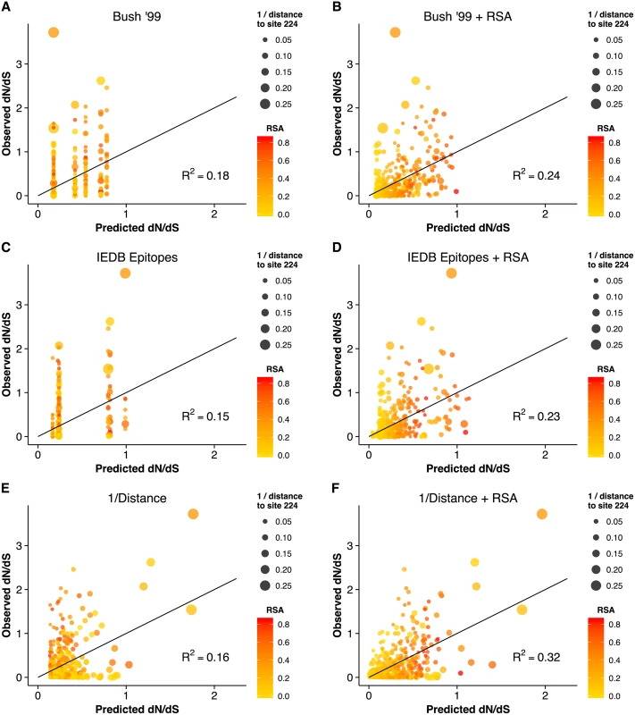 Observed <i>dN</i>/<i>dS</i> vs. predicted <i>dN</i>/<i>dS</i> for different predictive linear models.