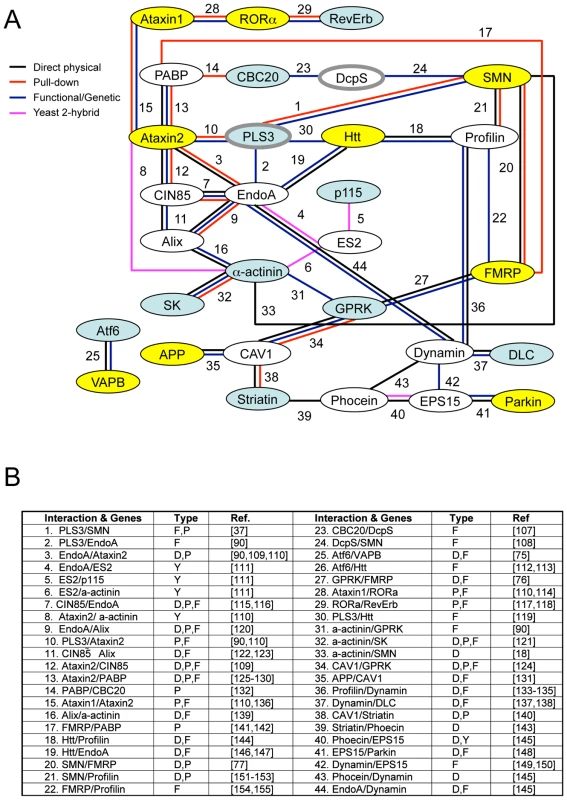 Interaction map of SMN modifier genes.