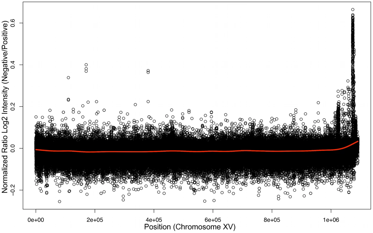 Bulk Segregant Analysis by Affymetrix Yeast tiling microarrays.