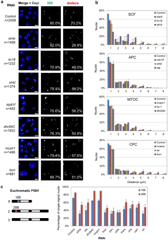 RNAi of candidate pairing promoters disrupts pairing.