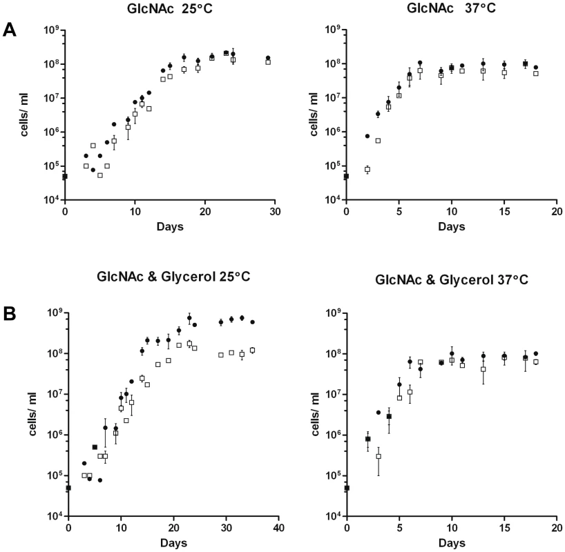 Growth of B31-A3 and CP176 in modified enriched medium.