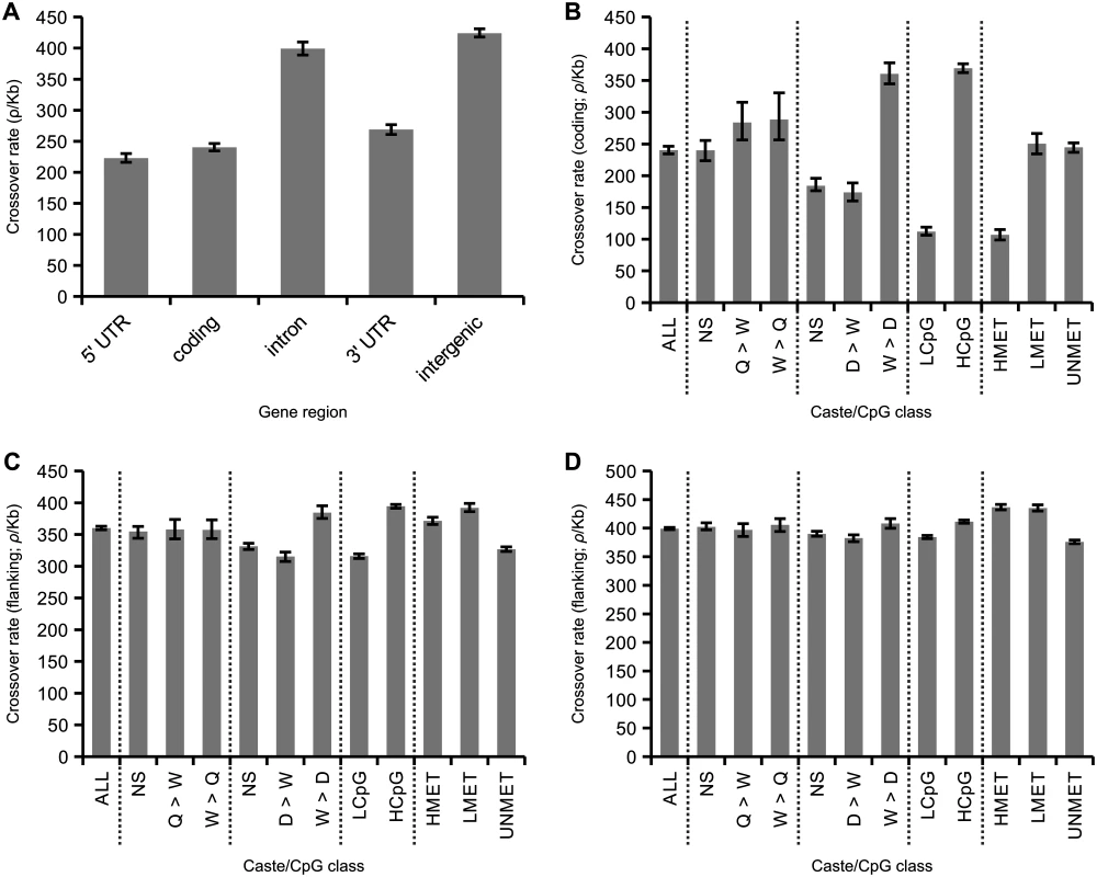 Associations between caste biased gene expression and inferred methylation patterns in honeybees.