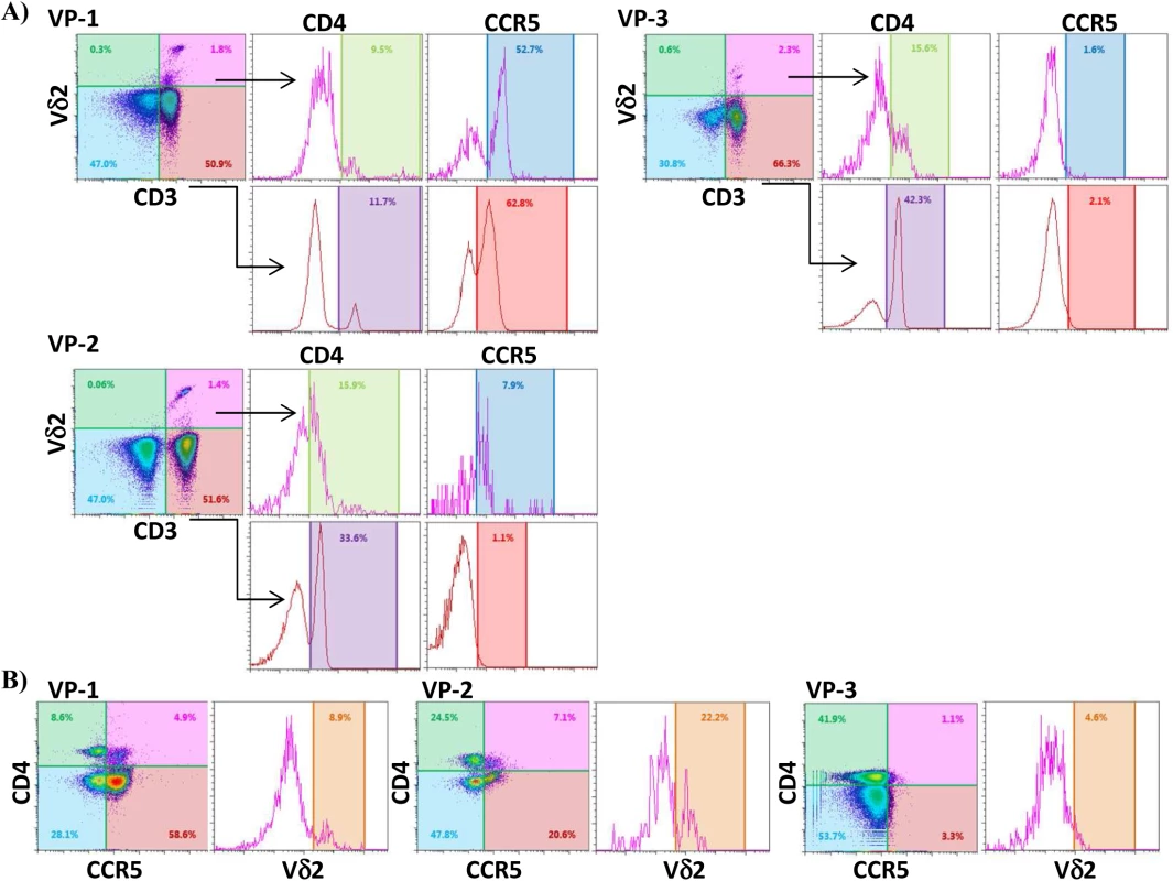 Vδ2 cells from untreated recently HIV-infected patients express CD4 and CCR5.