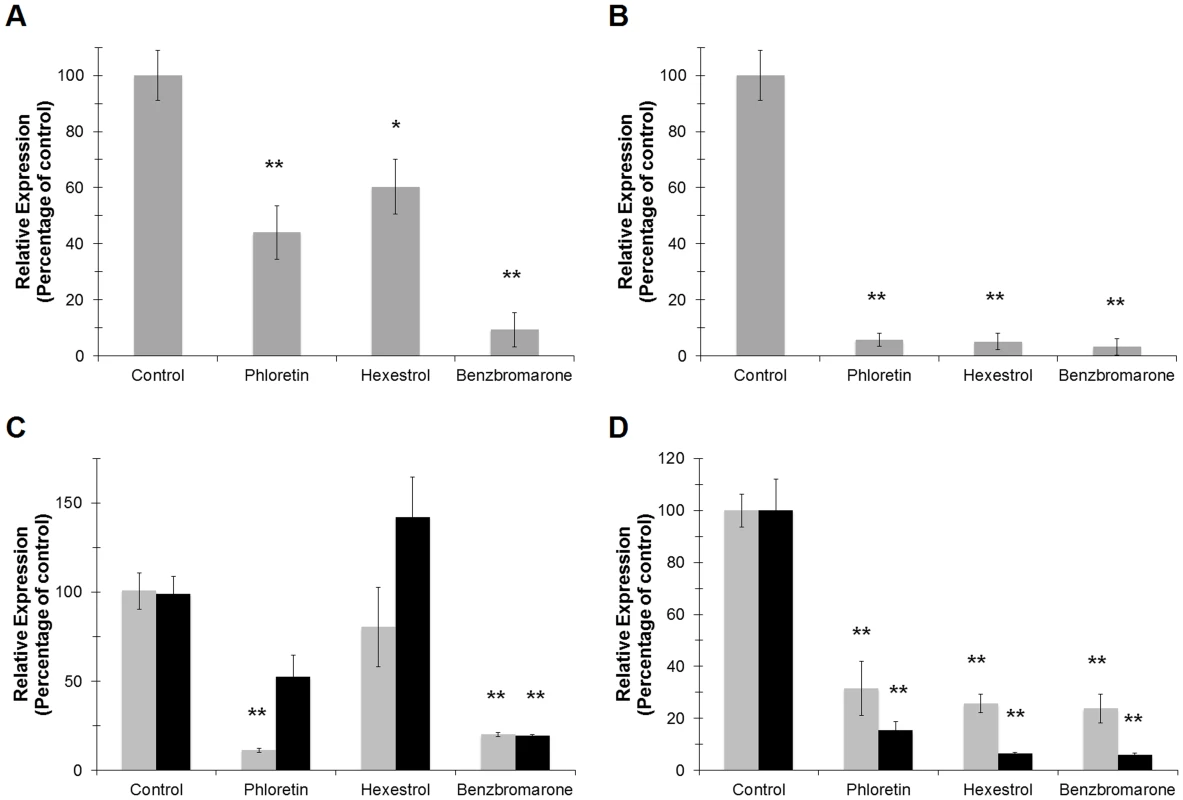 Small molecules modulate the transcriptional activity of LdtR<sub>Las</sub> in infected sweet orange leaves.