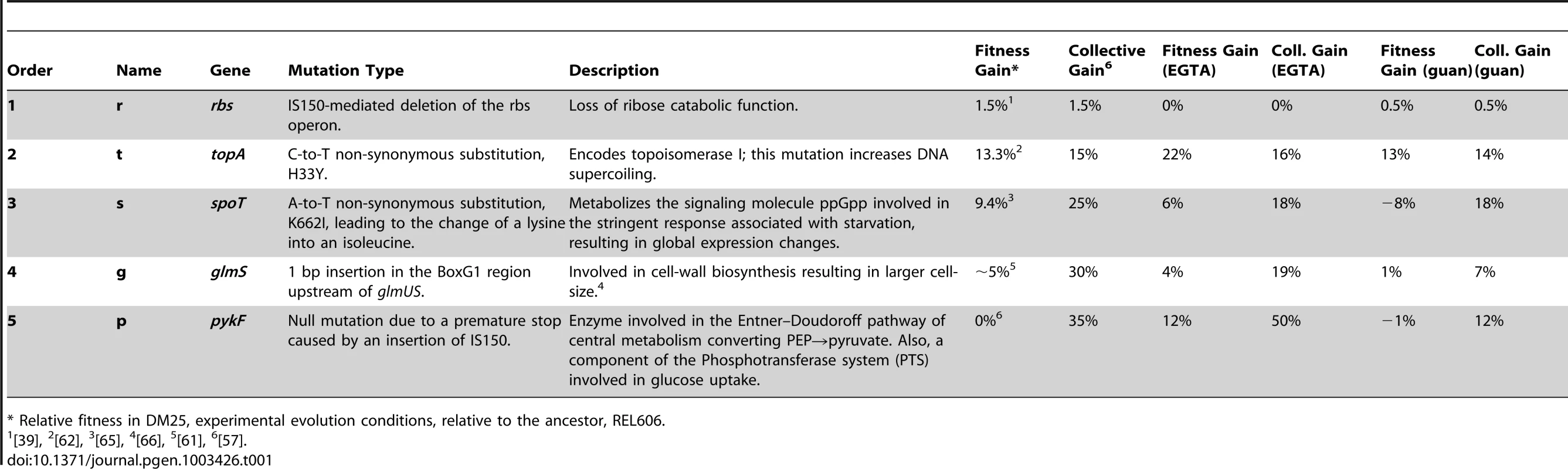 The five mutations in the order in that they arose and fixed in a population of <i>E. coli</i> from Lenski et al. 2002.
