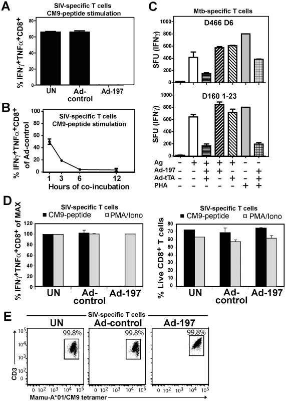 MPXV197 inhibits TCR-dependent T cell stimulation.