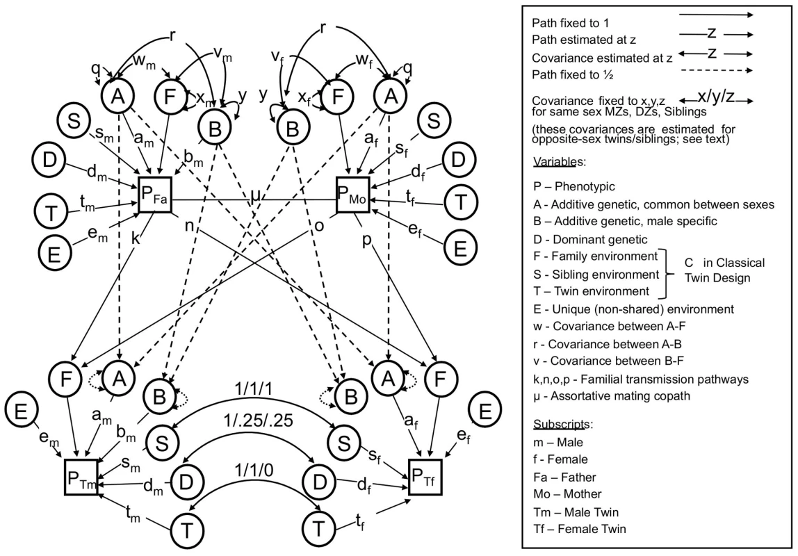 The full nuclear twin family design, with assortative mating modeled as primary phenotypic assortment.