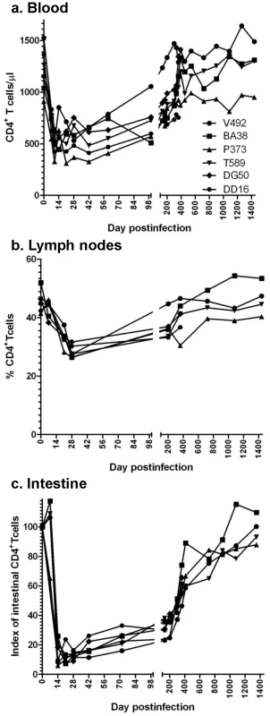 Changes in CD4<sup>+</sup> T cells in SIVagm-infected RMs.