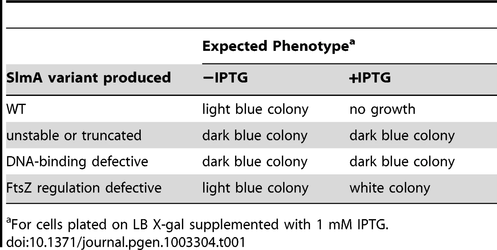 Expected colony phenotypes for <i>slmA</i> mutants in strain HC328/pHC534 [Δ<i>slmA</i> P<sub>sbs</sub>::<i>lacZ</i>/pUC-2xSBS].