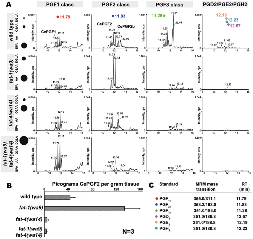 Prostaglandins in wild-type and <i>fat</i> mutant extracts.