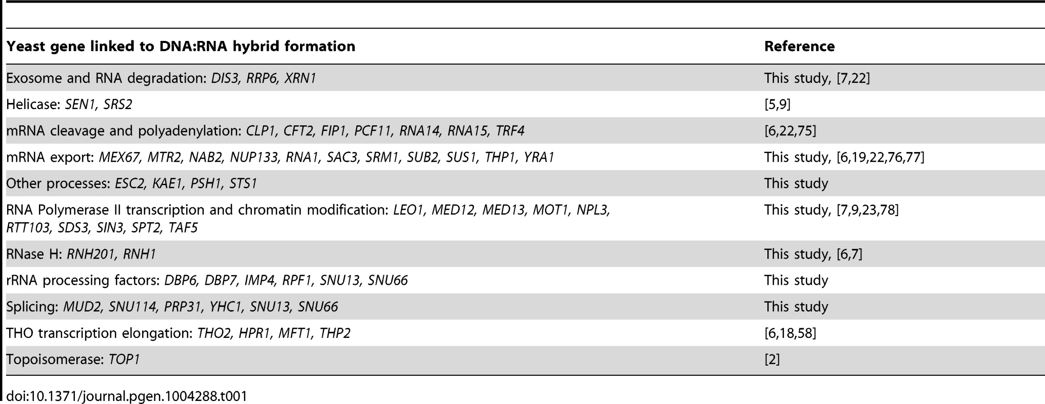 List of yeast genes that affect DNA:RNA hybrid formation.