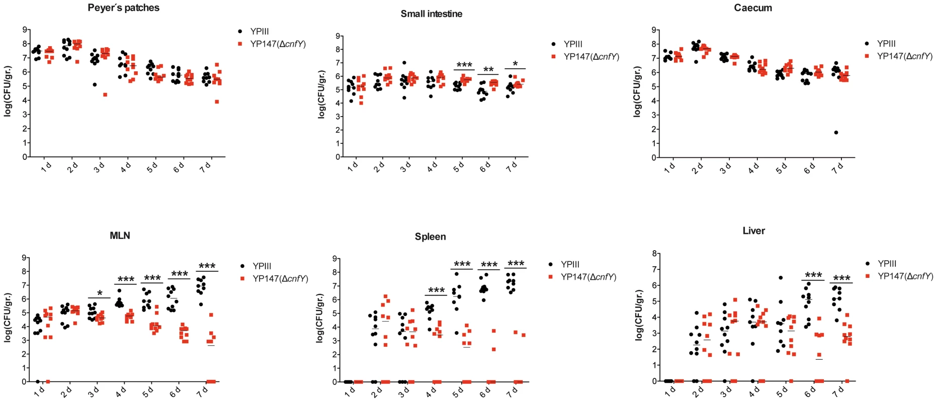 Influence of <i>cnfY</i> on the virulence of <i>Y. pseudotuberculosis</i>.