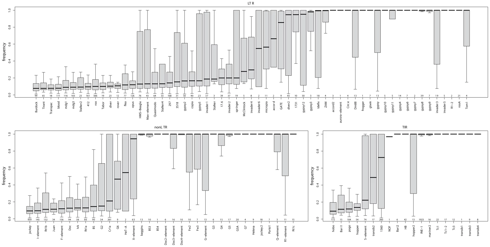 Boxplots of population frequencies in our natural population of <i>D. melanogaster</i> for all major TE families found in the Portuguese <i>D. melanogaster</i> population.